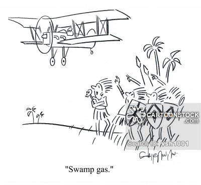 'Swamp gas.'