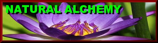 alchemy-lotus2